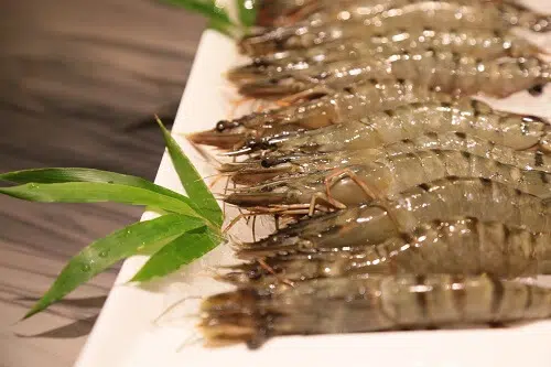 野草居食屋_食材_生態蝦